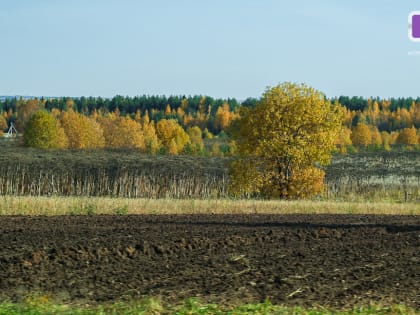 Как получить гектар в Арктической зоне Республики Коми