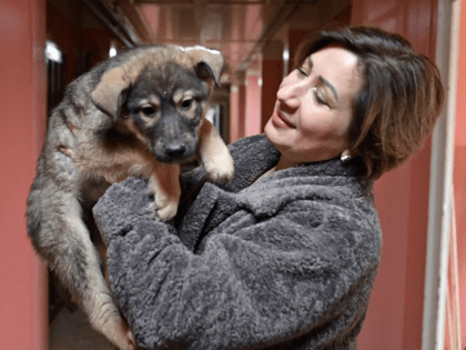 Жителей Коми приглашают к обсуждению поправок к закону «Об ответственном обращении с животными»