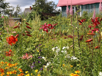 Коми ждёт туман и гроза