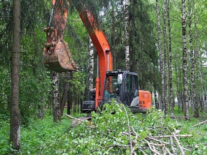 Парк в сыктывкарском Строителе начали облагораживать