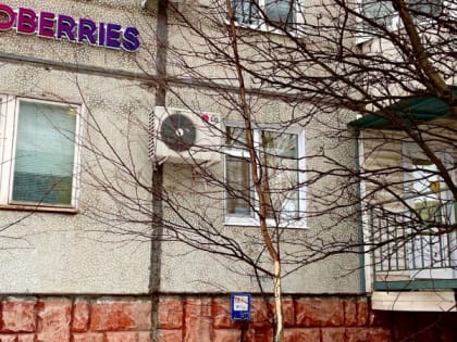 Сотрудники пунктов выдачи Wildberries в Сыктывкаре высказались о забастовках