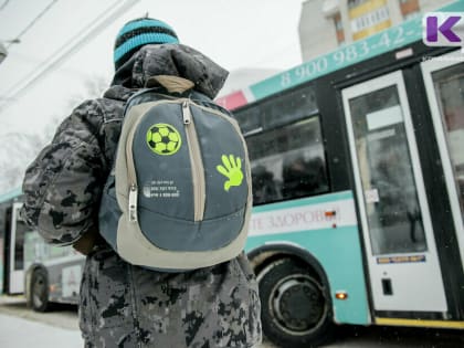 Актированные дни продолжаются в ряде районов Коми