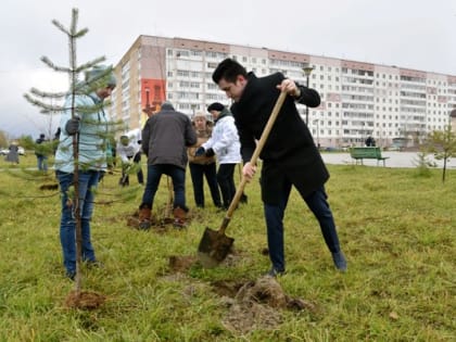 В Усинске высадили «Лес Победы»