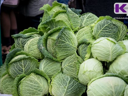 На неделе в Коми подорожали гречка и капуста, подешевели мука и сыр