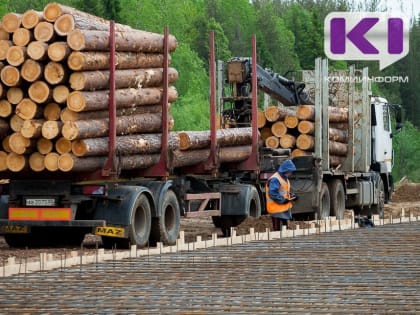 В Коми произвели больше оленины, топливных брикетов и сливочного масле, чем в 2022 году