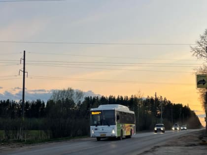 В сыктывкарском автобусе на фоне жары у женщины остановилось сердце