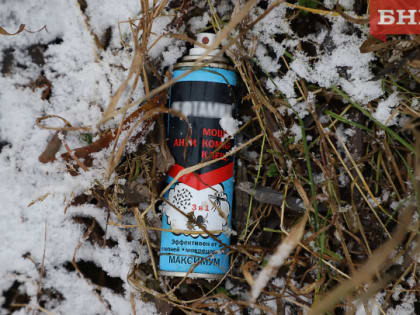 В Коми с начала года зарегистрировали 10 случаев клещевого энцефалита