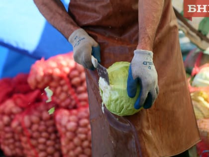 В Коми лидерами по росту цен в апреле стали капуста, электрочайники и поездка в Турцию