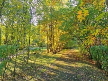 Погода в Коми на следующей неделе будет теплее климатических норм