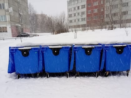 В РЭО сообщили, что в России не планируют поднимать тарифы на вывоз отходов в 2023 году