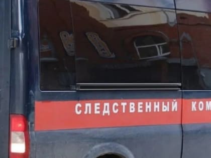 В Печорском районе организована проверка по факту гибели двух мужчин из-за схода лавины