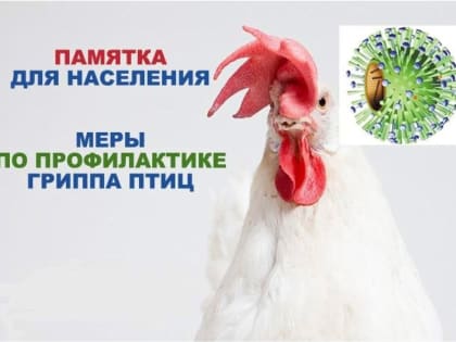 Памятка для населения “Меры по профилактике гриппа птиц”