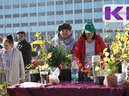 В Сыктывкаре стартуют ярмарки выходного дня