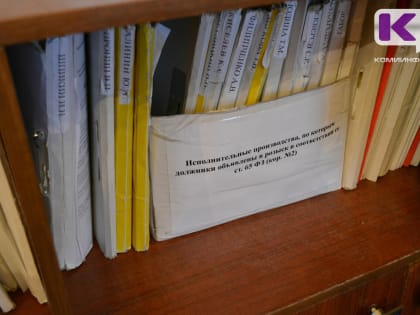 Судебным приставам расширят доступ к кредитным историям россиян