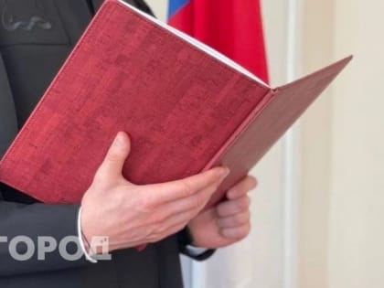 Житель Коми получил судимость за кражу колец у спящей подруги