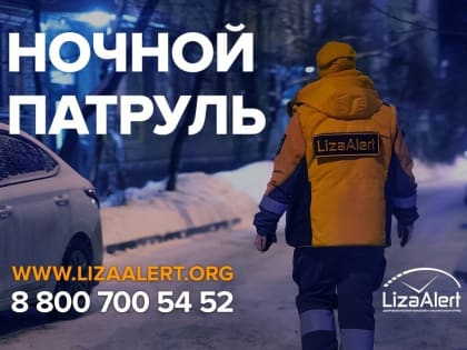 Добровольцы "Лиза Алерт" в Коми вышли в ночной патруль