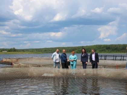 Рыбный день