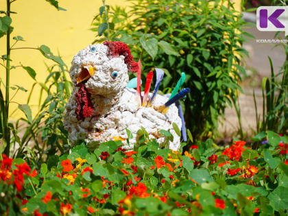 Птичий грипп выявили в Ухте и Сосногорске - введен карантин