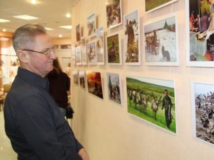 Арктика в объективе