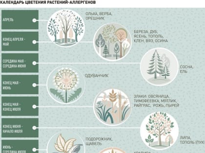 Как избежать аллергии на первые цветущие растения