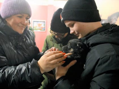 Учащиеся города Усинска побывали на дне открытых дверей в приюте для бездомных животных