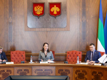 Эльмира Ахмеева рассказала о федеральных мерах поддержки экономики регионов