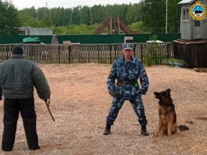 В УФСИН по Коми выбрали лучших специалистов-кинологов