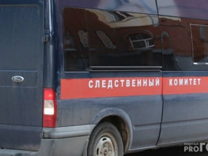 Следствие выясняет обстоятельства смерти 16-летней сыктывкарки, которая упала с дома