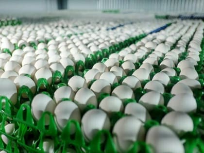 Врач назвал топ-4 продукта для лечения простуды