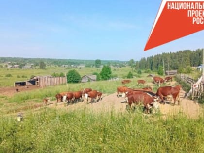 «Агростартап»: фермеры получили грантовую поддержку