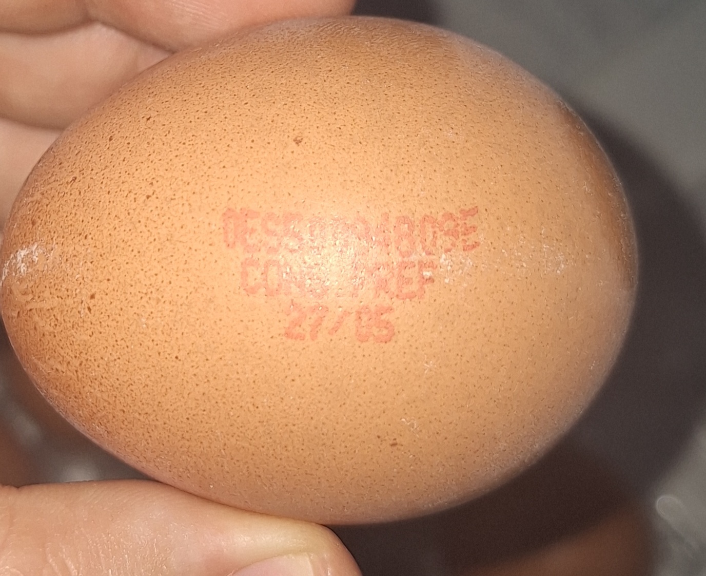Detalle del precio de huevos bio en Costco