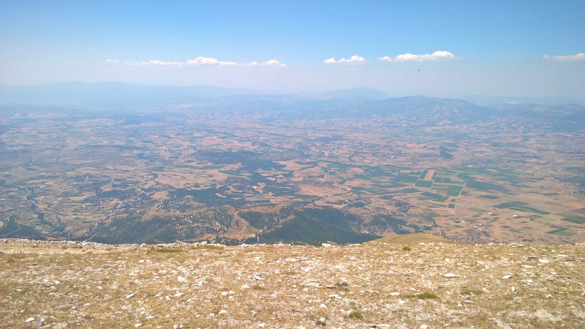 Slide 8