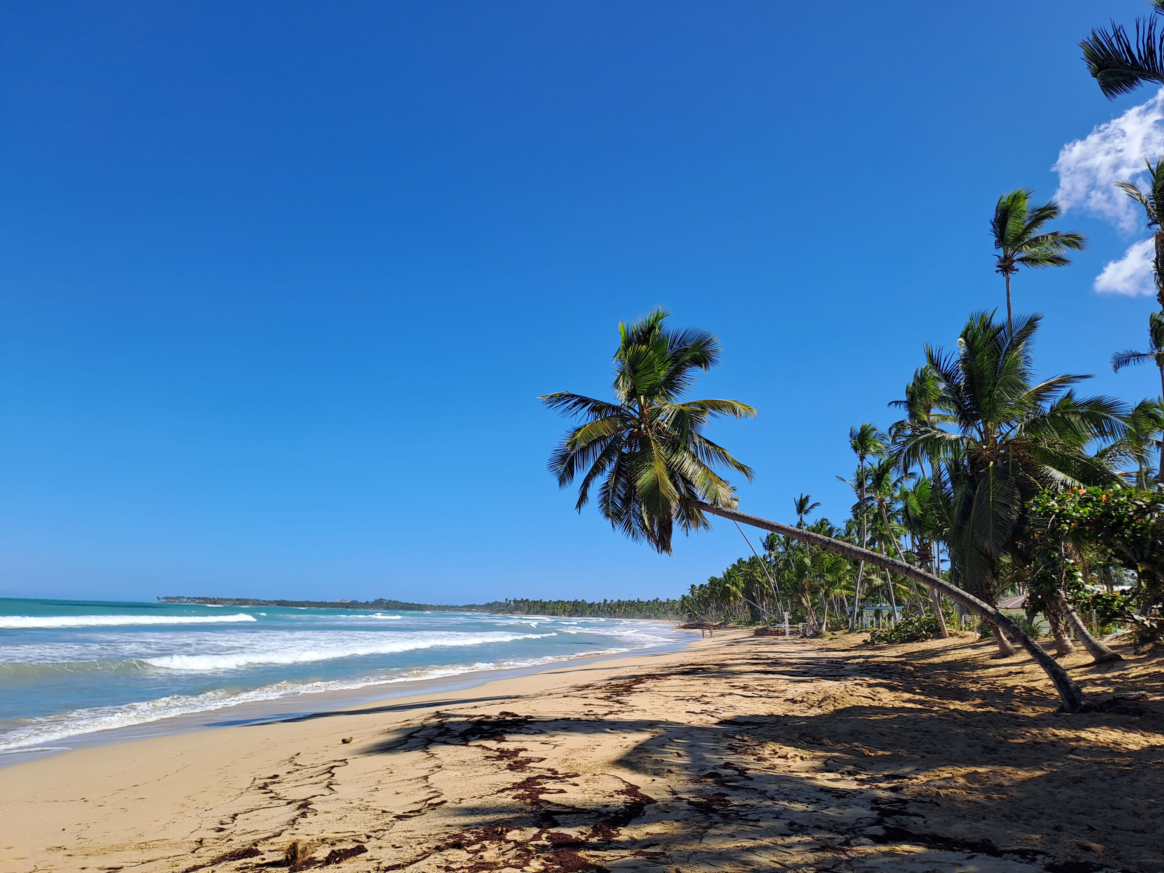 Surfing in the Dominican Republic