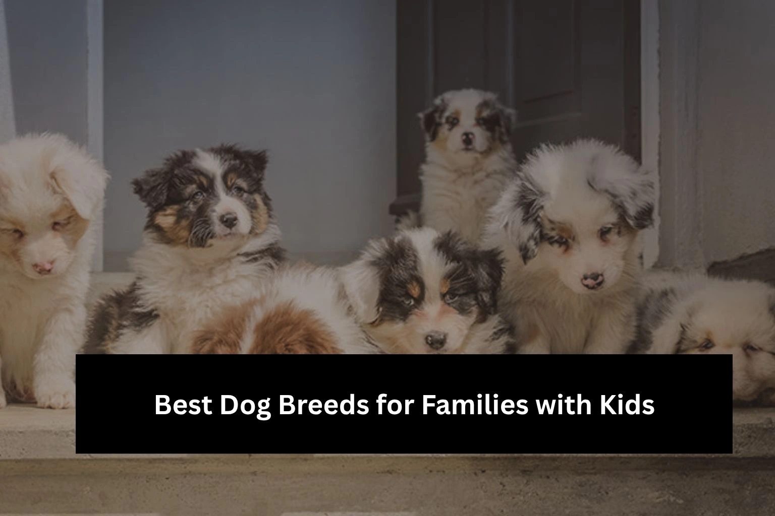 Best Dog Breeds for Families with Kids