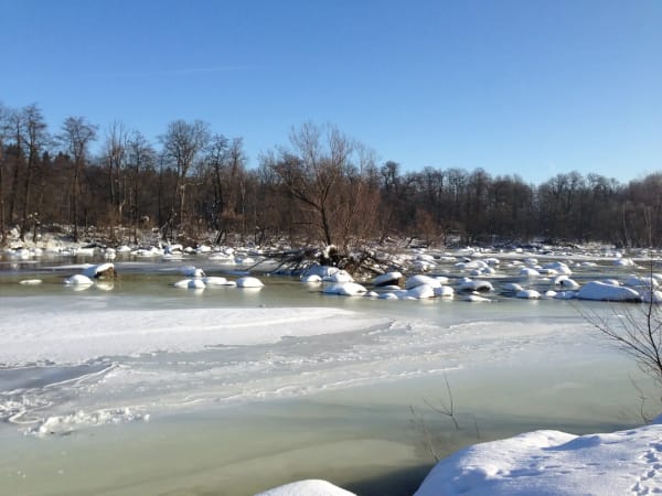 Зимовий пейзаж річки Південний Буг у селі Печера, Вінницька область. Засніжені пороги та ліс на березі.