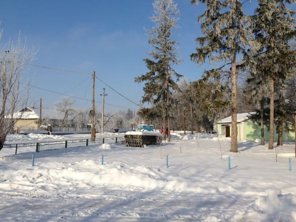 Зимовий пейзаж села Печера з деревами в інеї, засніженими будинками та стовпами електропередач під блакитним небом.