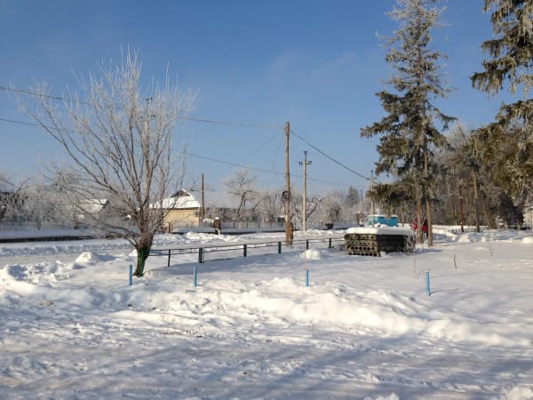 Зимовий пейзаж села Печера: засніжені дерева, будинки, стовпи та блакитне небо