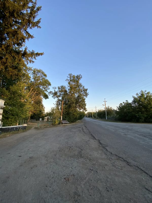 Сільська дорога з деревами та стовпами електропередач у селі Печера, Вінницька область, Україна