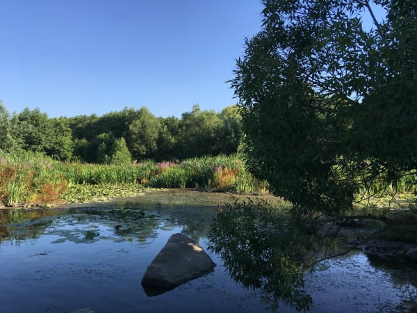 Річка Південний Буг біля Печери