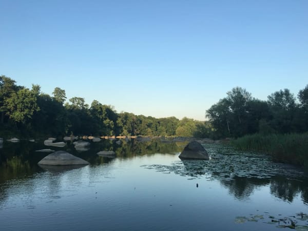 Мальовничий краєвид річки Південний Буг у селі Печера, Вінницька область. На воді видно великі камені та латаття, береги вкриті густими деревами.