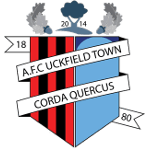 AFC Uckfield logo