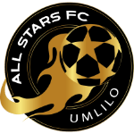 All Stars logo de equipe logo