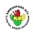 Ammanford Team Logo