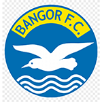 Bangor Ladies logo