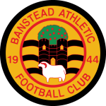 Banstead Athletic logo de equipe