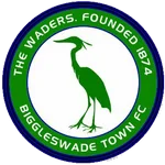 Biggleswade Town logo de equipe