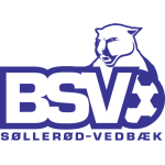 BSV Feminino logo de equipe