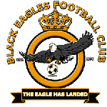 Black Eagles logo logo