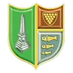 Bodmin Town logo de equipe