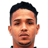 Rodrigo Henrique Santana da Silva headshot